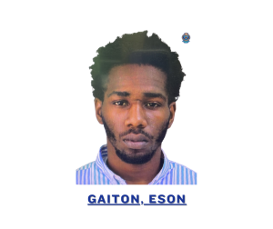 suspect